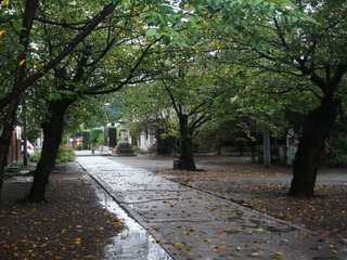 DSC01375.JPG